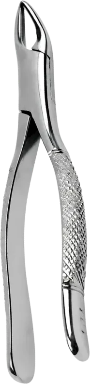 Dental Forceps